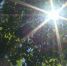 Жара под 30 ℃: рязанцам напоминают о головных уборах, воде и осторожности у водоёмов - ГТРК ОКА