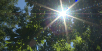 Жара под 30 ℃: рязанцам напоминают о головных уборах, воде и осторожности у водоёмов - ГТРК ОКА