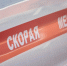 Фото: ПАИ - InformPskov.Ru