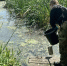 Нижегородское минэкологии проверяет озеро Ягодное после массовой гибели рыбы - НИА Нижний Новгород