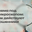 PNG Файл - МВД России по Запорожской области