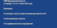 О результатах контрольной (надзорной) деятельности ГЖИ Воронежской области за период с 13 по 17 июля 2026 года - Государственная жилищная инспекция