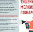 МЧС информирует, как правильно тушить мелкие пожары. - Всеволожский район