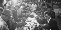 Ход конем: Главархив напомнил о выставке «Играем в шахматы» - Главное архивное управление
