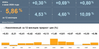Инфографика.jpg - Gubkin.City