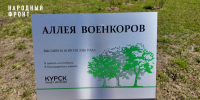 Чтобы жили: Народный фронт в Курске посадил Аллею памяти - ОНФ в Москве