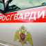 Прямая телефонная линия по вопросам трудоустройства во вневедомственную охрану Росгвардии пройдет в Калмыкии - Росгвардия