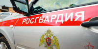 Прямая телефонная линия по вопросам трудоустройства во вневедомственную охрану Росгвардии пройдет в Калмыкии - Росгвардия