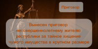 Вынесен приговор несовершеннолетнему жителю республики за тайное хищение чужого имущества в крупном размере - Следственный комитет
