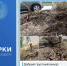 При строительстве тротуара в Брянске порубили корни - Сетевое издание Новости Брянска