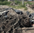 В Новомосковске вновь выявили незаконный сброс отходов рядом с полигоном - ИА Тульская служба новостей