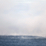 xri33vik7ury3zcy3hehdxbjhu3fv5uw.jpg - NewKaliningrad.Ru