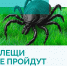 Будьте осторожны: сезон клещей в самом разгаре! - ГБУЗ ПК ГКП №5