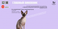 «Гипоаллергенных» животных не существует — это миф, который может стоить вам здоровья. - Городская больница №11