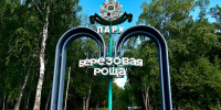 Настроение: берёзы - Газета Ведомости