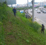 Покос травы во Владивостоке: более 12 гектаров городских территорий привели в порядок на минувшей неделе - Администрация г. Владивостока