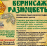 "Вернисаж разноцветья" ждет гостей - Rayon72.Ru