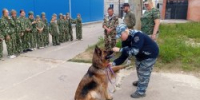 В Советском районе в рамках акции «Каникулы с Общественным советом» прошла информационно-познавательная встреча с детьми - 2Goroda.Ru