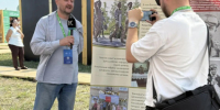 День Сибирского поля: второй день — ещё больше гостей в Ключевском павильоне. - Ключевский район