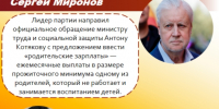 Необходимо ввести "родительскую зарплату"! - Справедливая Россия