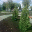 Фото: https://uprgkh.pnzreg.ru - Penza-Post.Ru
