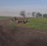 image - GazetaRB.Ru