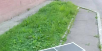 В Иркутске и Усолье-Сибирском проверяют падения девочек из окон - Baikal24.Ru