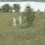 люди косят траву - Петрозаводск говорит