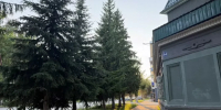 30 градусов жары прогнозируют синоптики в Бугульме 21 июля - Бугульминская газета
