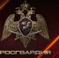 Ключевые события Росгвардии: итоги недели с 13 по 19 июля - Росгвардия