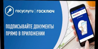 Более 92 тысяч жителей Пензенской области воспользовались «Госключом» - Правительство
