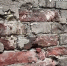 Screenshot_20260721_090351_MAX - Сетевое издание Арбуз