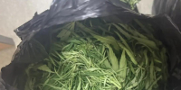 image - GazetaRB.Ru