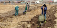 Забайкалье вошло в топ регионов РФ по объемам лесовосстановления - Забайкальский рабочий