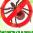 Мониторинг за клещевыми инфекциями на 20.07.2026г.. - Бабушкинский муниципальный округ