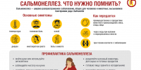 Основные правила профилактики сальмонеллеза - Роспотребнадзор