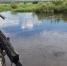 Уровень колеблется - Газета Камышловские известия