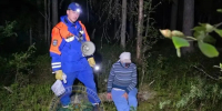 Пожилая женщина потерялась в лесу, спасатели нашли её ночью - SyasNews.Ru