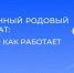Более 72 млн рублей выплатил СФР по Тюменской области за родовые сертификаты - Aromashevo.Online