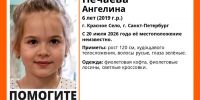 В Петербурге ищут пропавшую шестилетнюю девочку - Петербургский формат