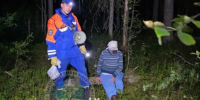 Спасатели вывели заблудившуюся пенсионерку из леса у СНТ «Корвет-Витязь» - Online47.Ru