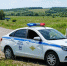 Семейная драма на лугу: под Балашовом выгул коров закончился угрозой убийством - SaratovNews.Ru
