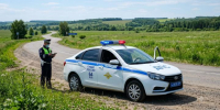 Семейная драма на лугу: под Балашовом выгул коров закончился угрозой убийством - SaratovNews.Ru
