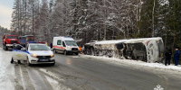 Туристы из перевернувшегося в Карелии автобуса получат компенсации - Gubdaily.Ru