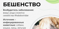 . - ГУЗ ЛГП №1
