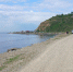 Амурский залив, Японское море, лето - Prim.News