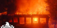 Происшествия - Газета Лужская правда