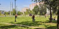 Уборка смета, полив саженцев, покос травы – 21 июля - Город Ковров