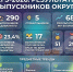 Выпускники округа Выкса показали высокие результаты на ЕГЭ - Wyksa.Ru