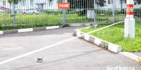 В лицее № 3 Старого Оскола отработали действия при угрозе взрыва - БелПресса